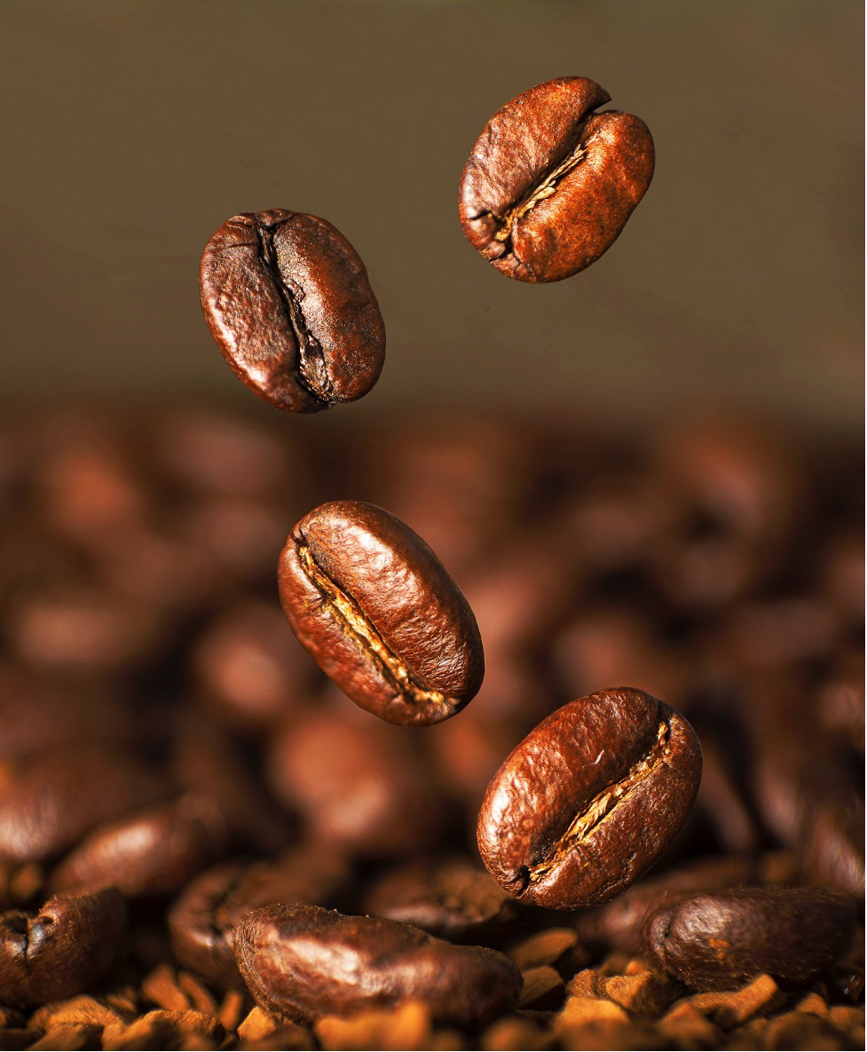 Which Coffee Roast has the Most Caffeine? – Bean &amp; Bean Coffee 