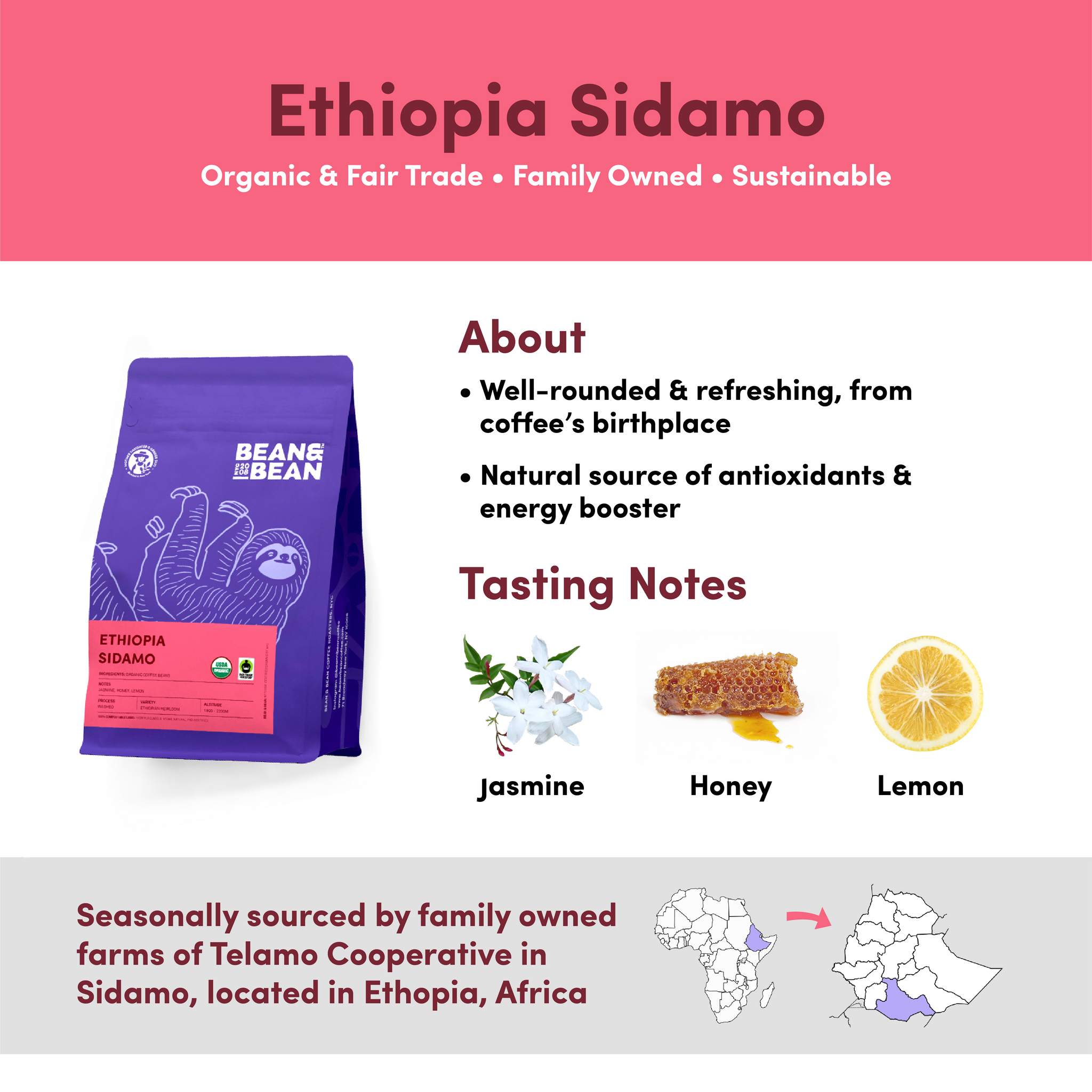 Ethiopia Sidamo, Organic & Fair Trade