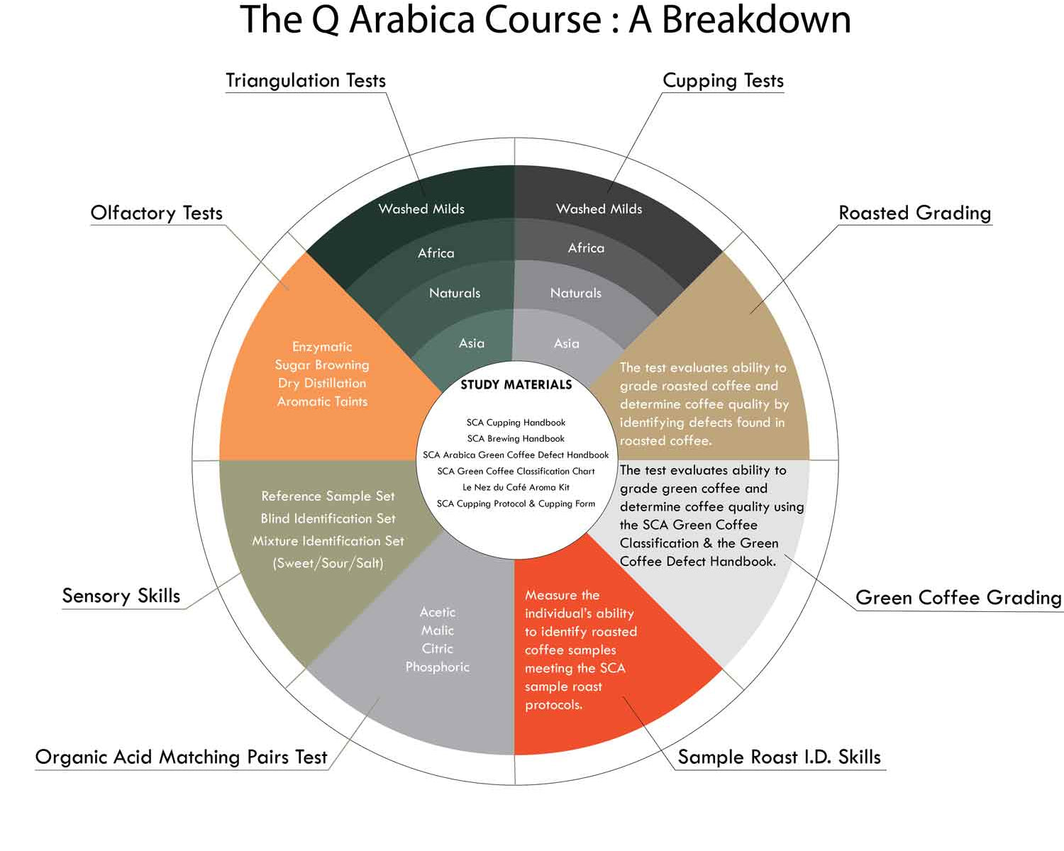 A circular infographic explaining the Q Arabica Coffee Quality Institute’s grading system with 8 sections representing different aspects of the grading system.