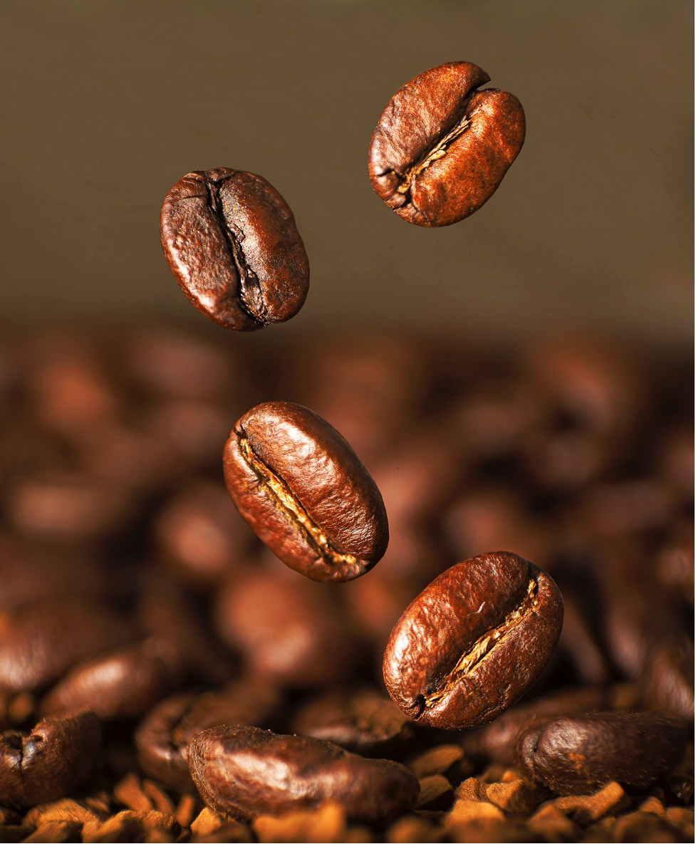 Which Coffee Roast has the Most Caffeine?