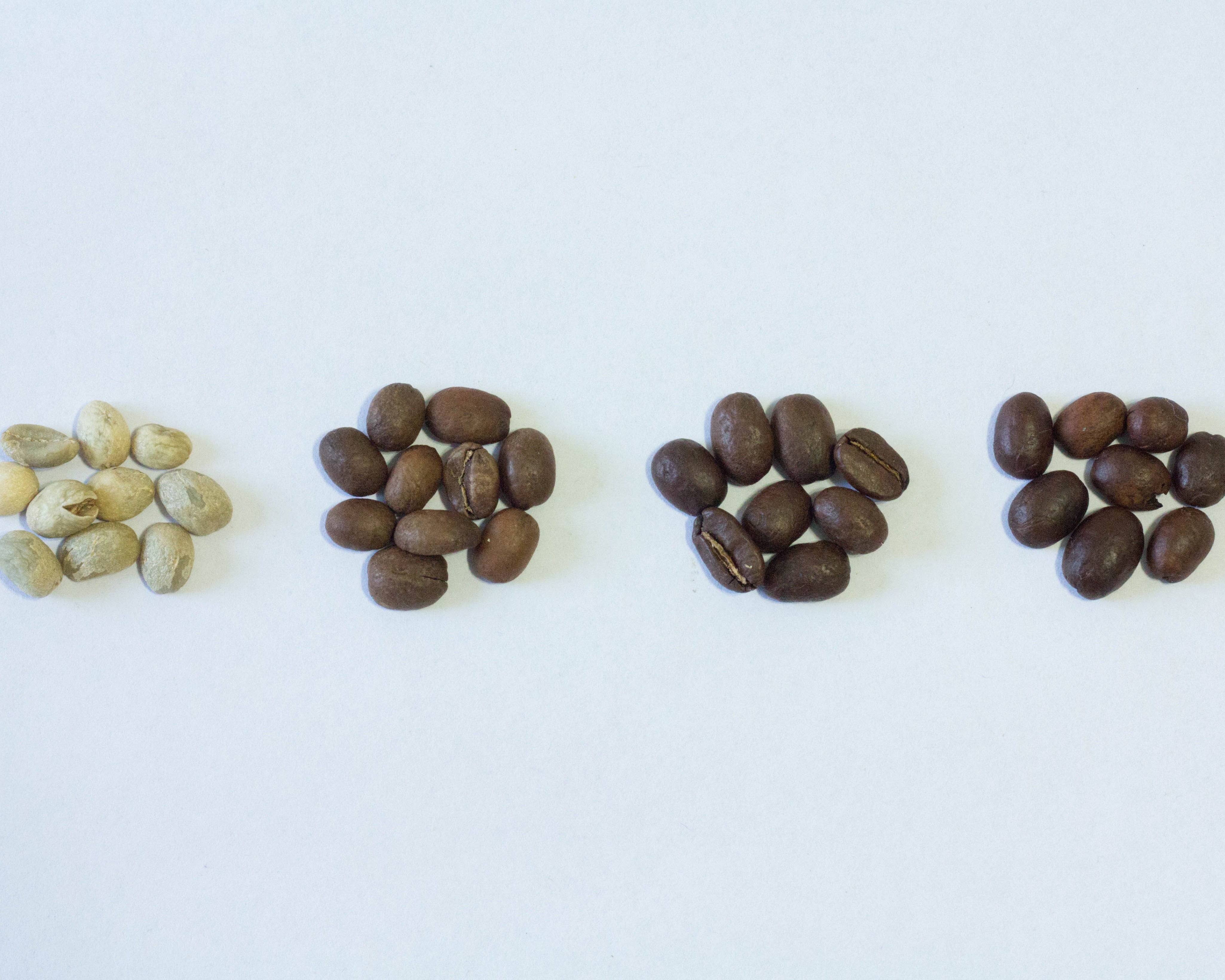 Light Roast vs. Dark Roast Coffee Explained