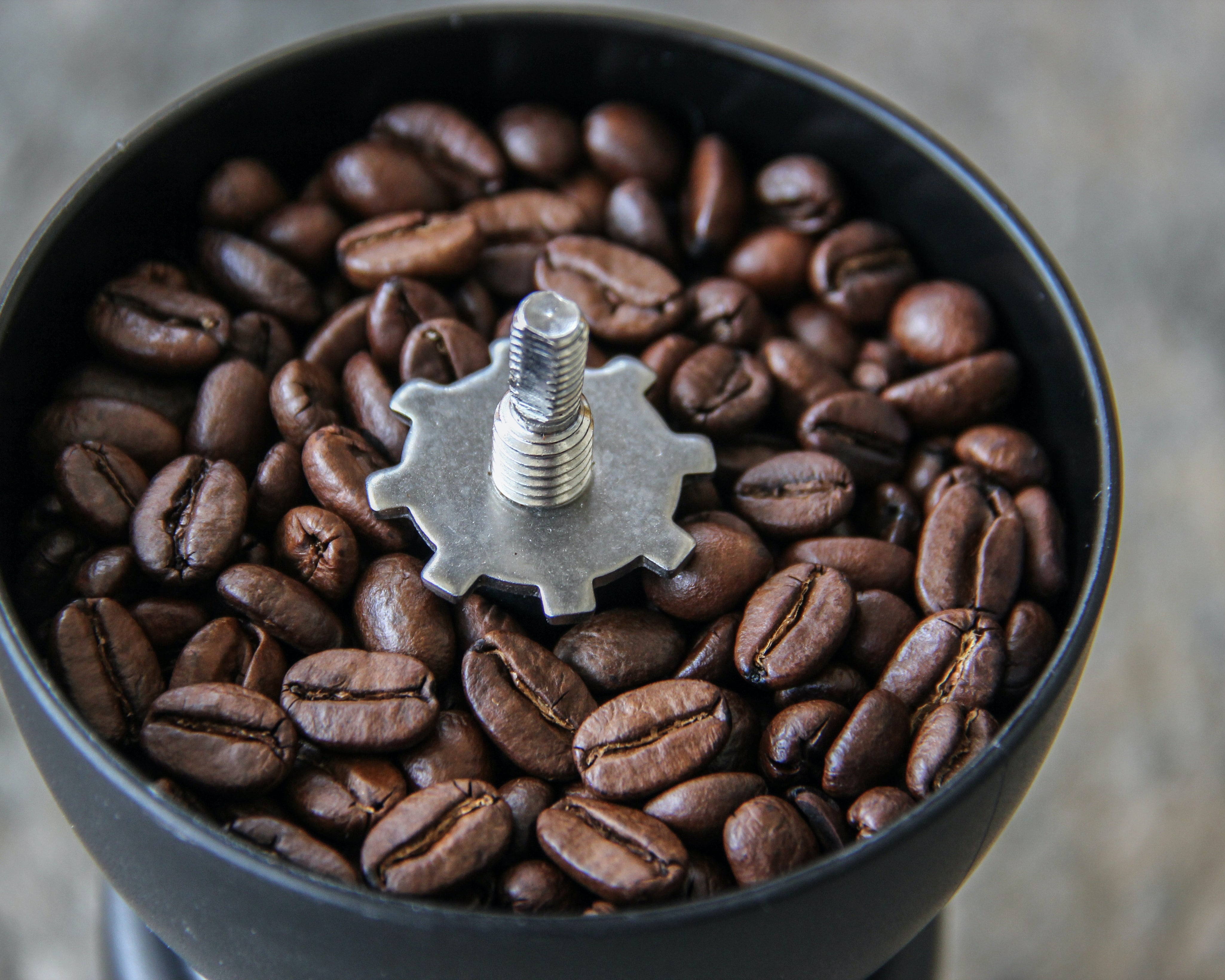 What to Look for When Purchasing Your First Coffee Grinder