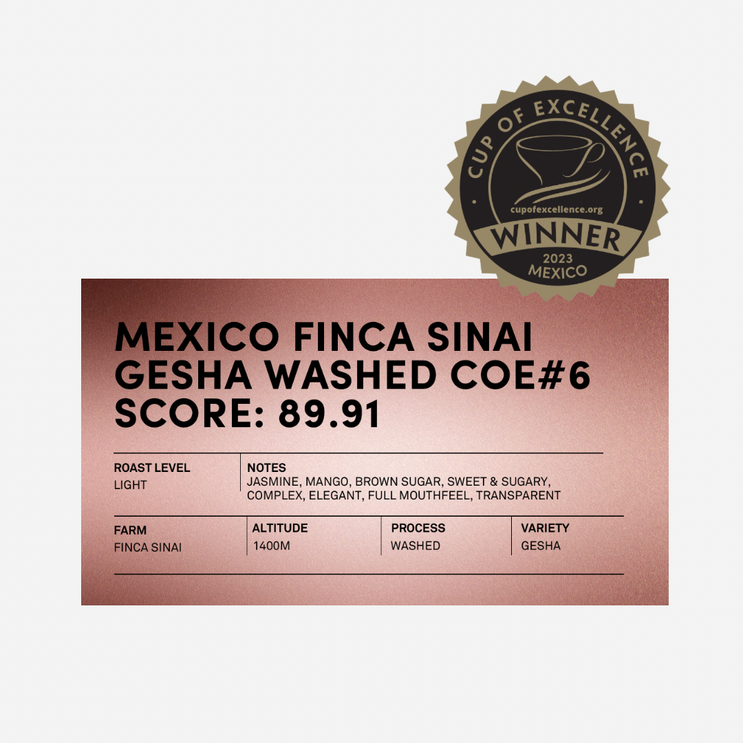 Mexico Cup of Excellence #6 Finca Sinai Gesha Washed [Score 89.91]