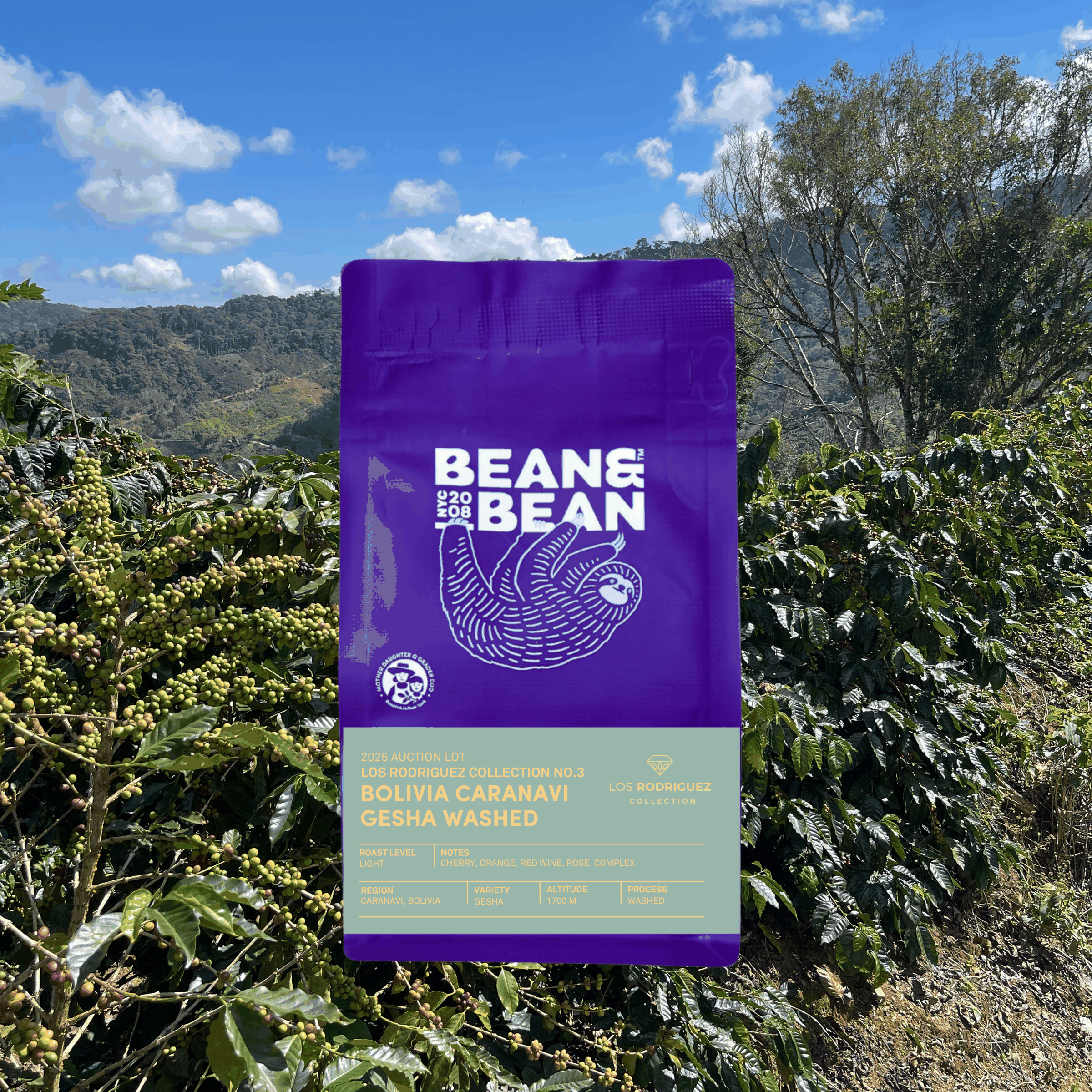 Purple and green coffee bag labeled “Bean & Bean Bolivia Caranavi Gesha Washed” displayed over a lush Bolivian coffee farm with green hills, coffee trees full of cherries, and a bright blue sky with scattered clouds.