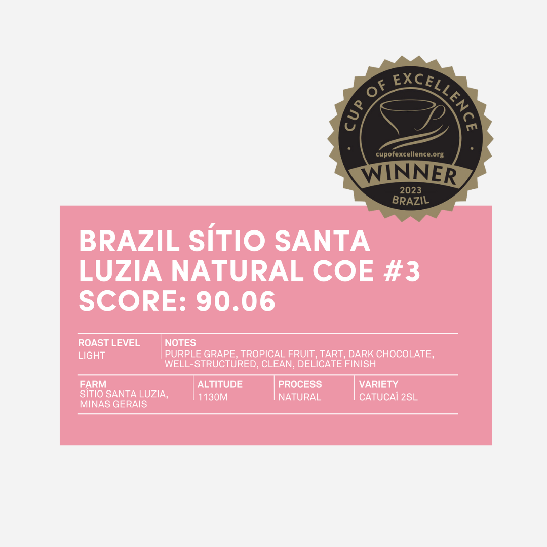 Brazil Cup of Excellence #3 Natural [Score 90.06]