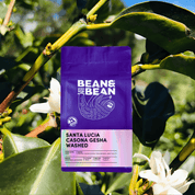 Purple "Bean & Bean Coffee Roasters" bag with a colored label that says Honduras Santa Lucia Casona Gesha Washed