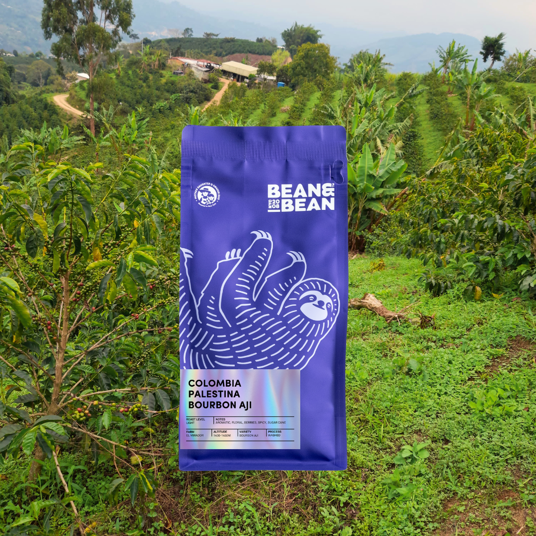 A purple Bean & Bean coffee bag labeled “Colombia Palestina Bourbon Ají” is shown in front of a lush hillside coffee farm with green plants, trees, and mountains in the distance.