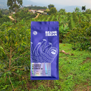 A purple Bean & Bean coffee bag labeled “Colombia Palestina Bourbon Ají” is shown in front of a lush hillside coffee farm with green plants, trees, and mountains in the distance.