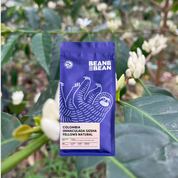 A Bean & Bean bag of Colombia Immaculada Gesha Fellows Natural against a background of coffee blossoms