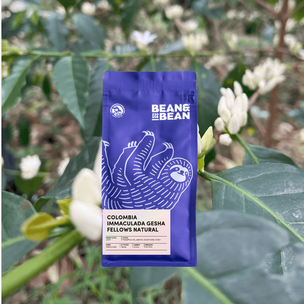 Colombia Immaculada Gesha Natural packshot