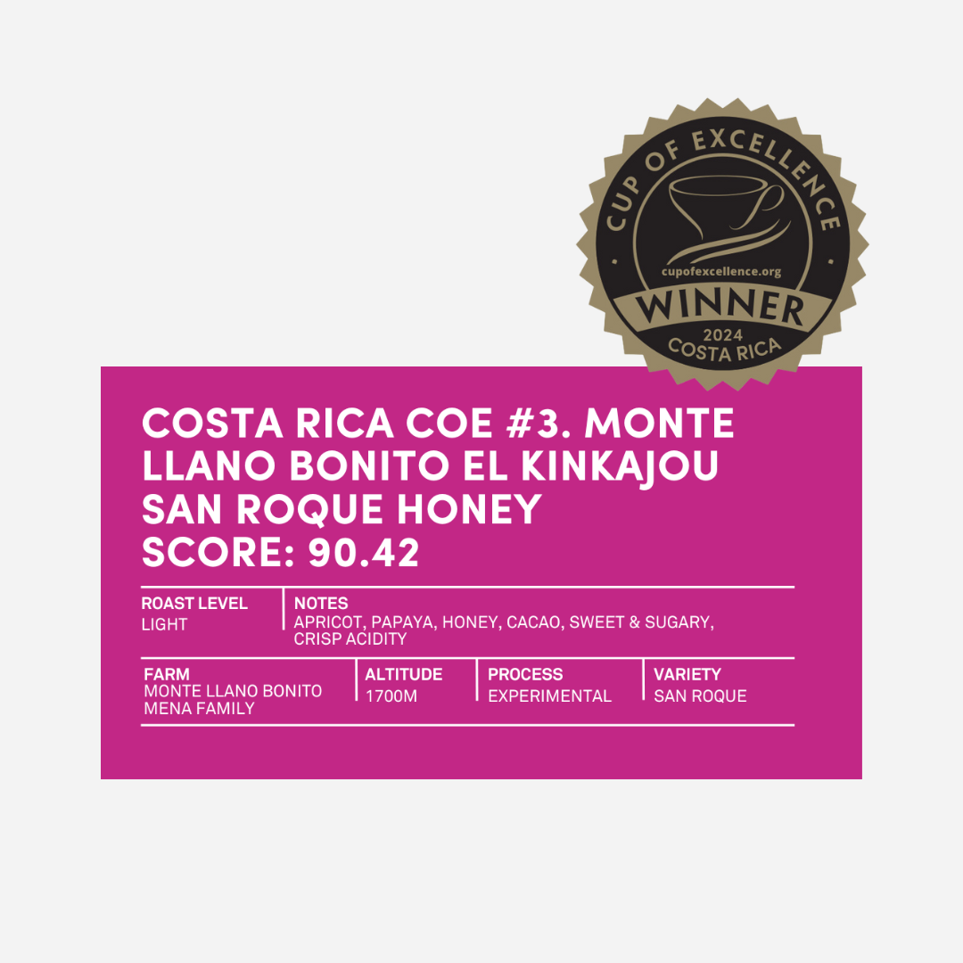 [PRE-ORDER] Costa Rica Cup of Excellence #3 Experimental [Score 90.42]