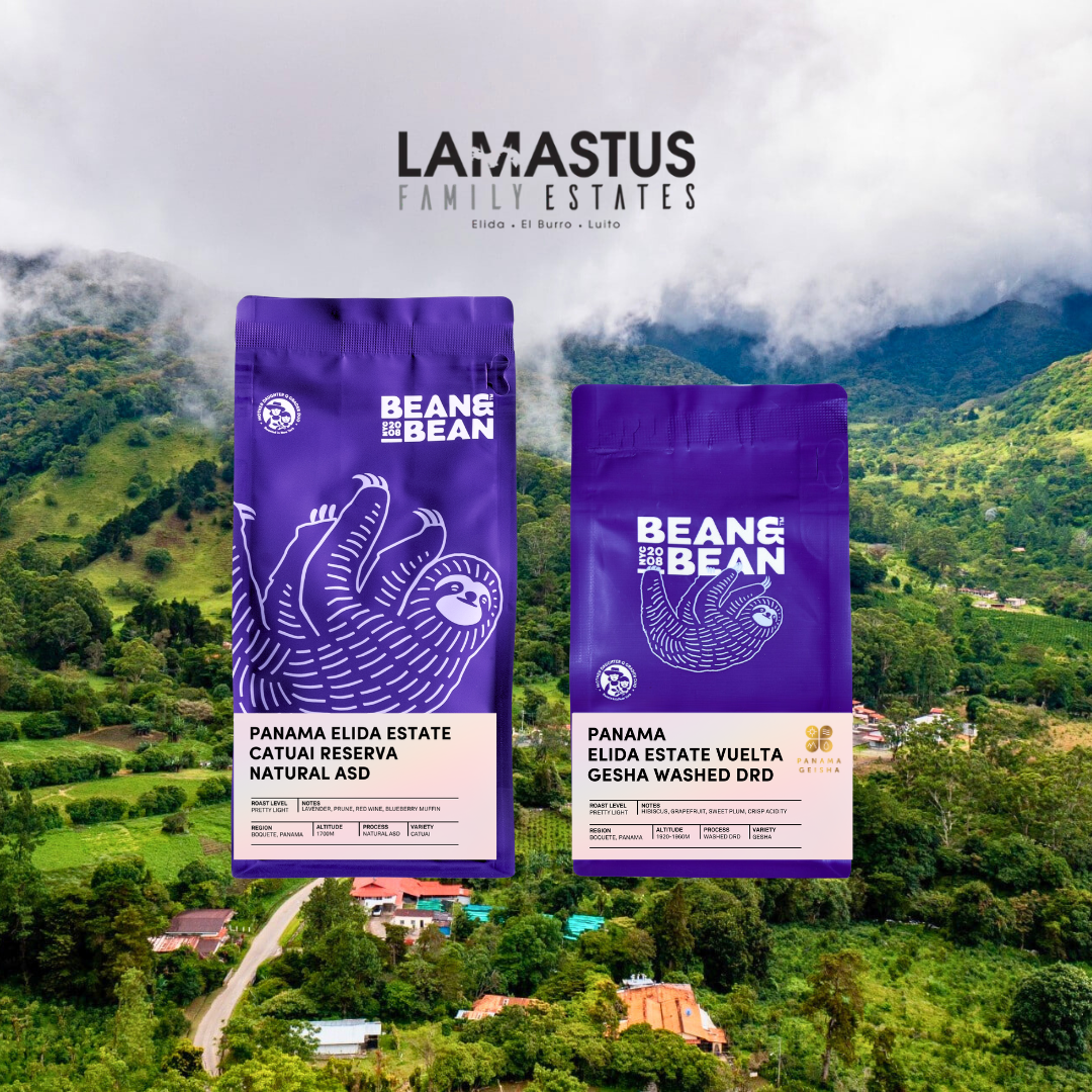 Two purple coffee bags labeled Bean & Bean are displayed in front of a lush green mountain landscape. The background text reads Lamastus Family Estates, Elida, El Burro, Luito.