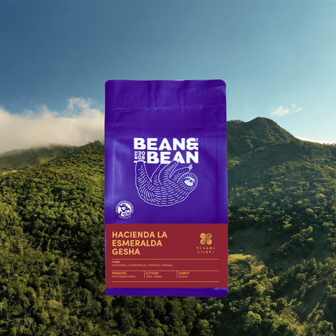 Panama Hacienda La Esmeralda Gesha Natural Guabo 3 BANC