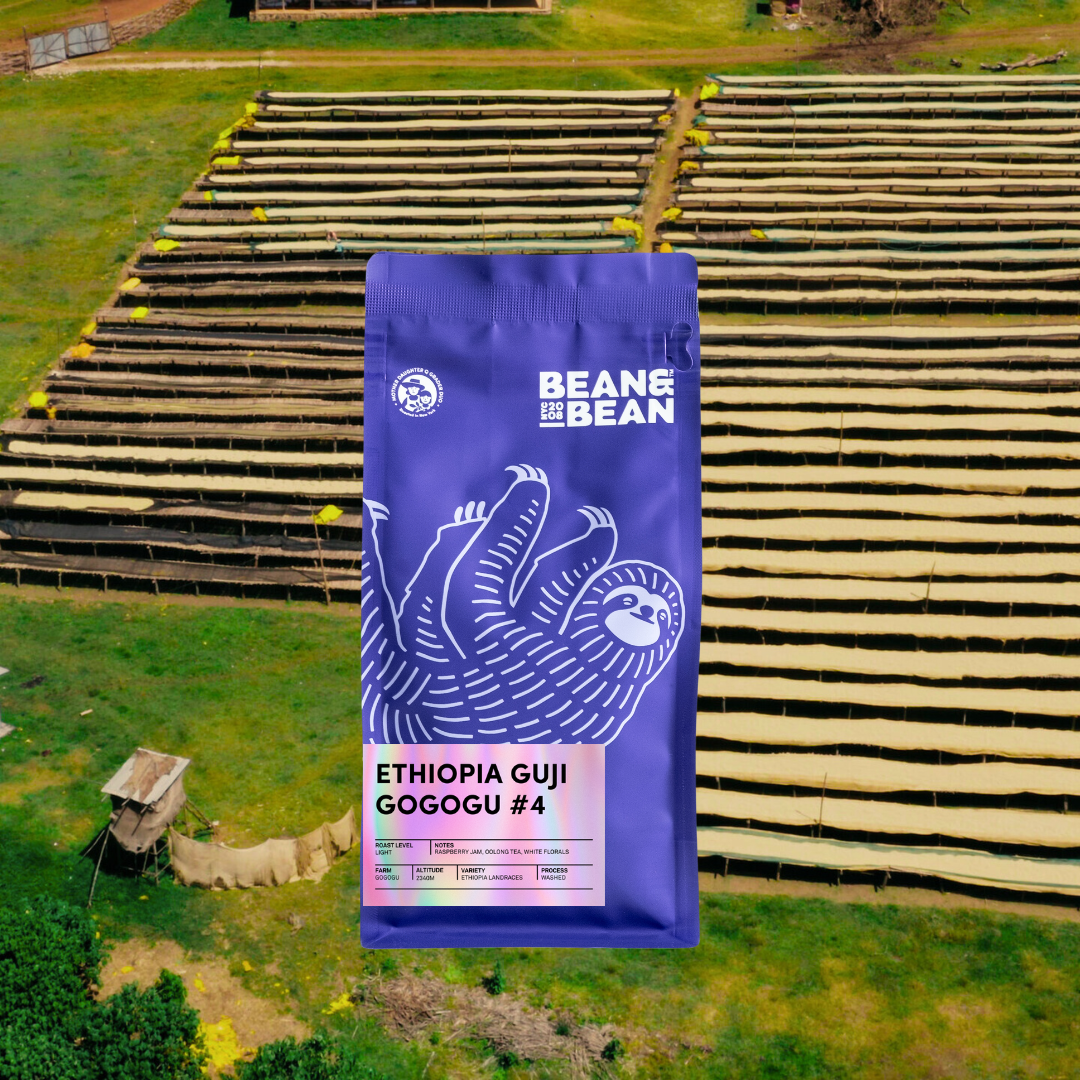 A purple Bean & Bean coffee bag labeled Ethiopia Guji Gogogu #4 stands in front of rows of raised drying beds used for processing coffee cherries.