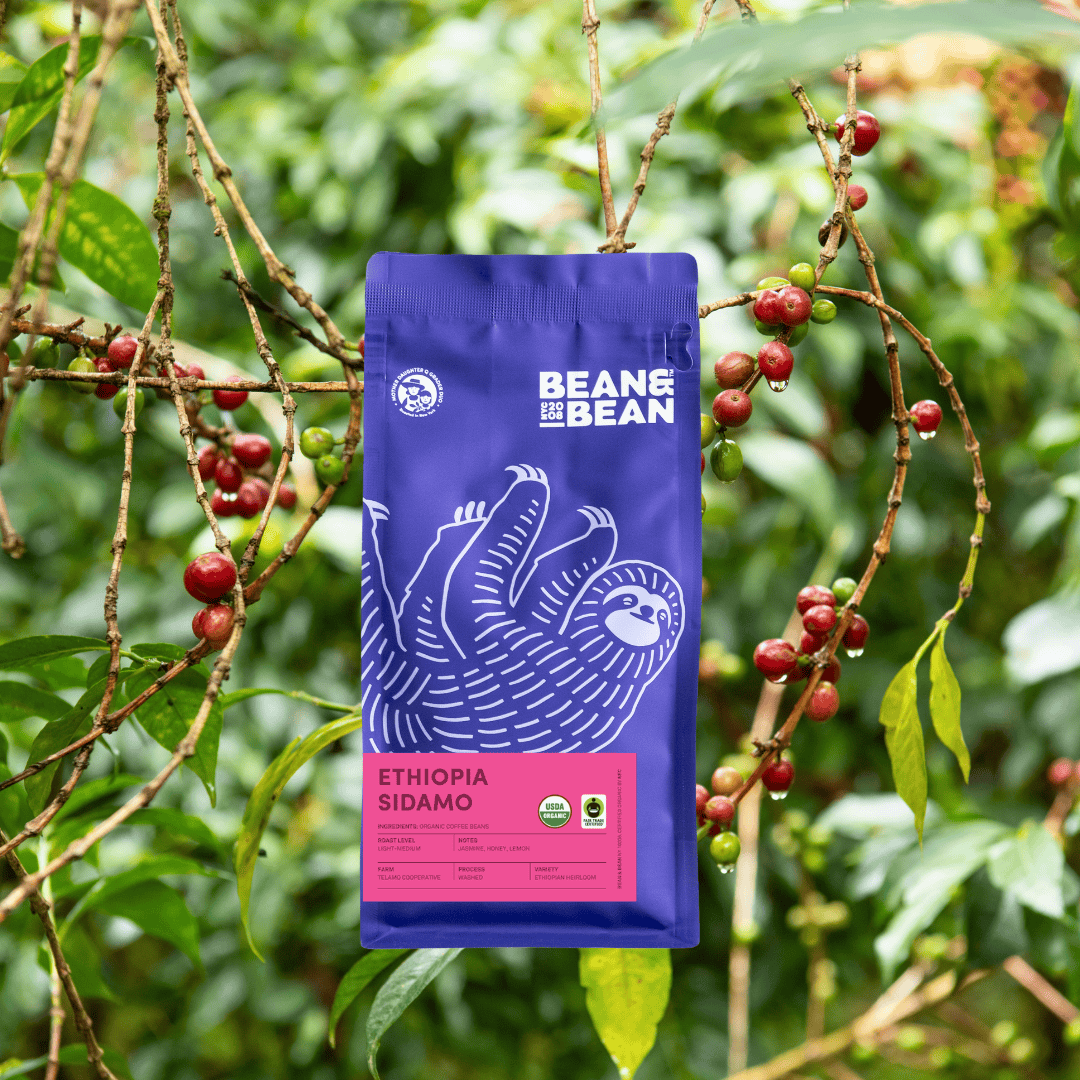 Ethiopia Sidamo Organic & Fair Trade
