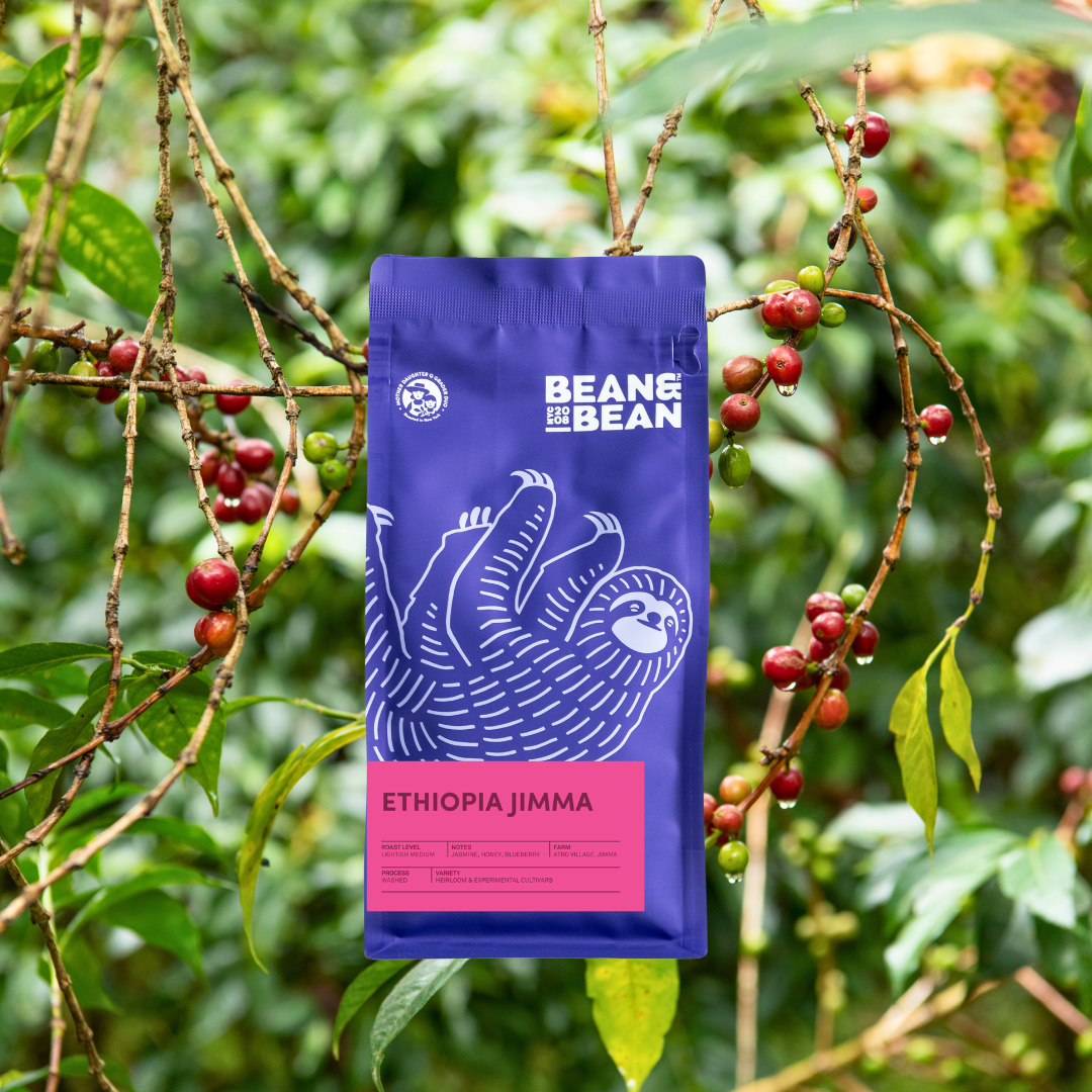 A purple Bean & Bean coffee bag with a white sloth illustration and a pink “Ethiopia Jimma” label, set against a leafy coffee plant background with clusters of red coffee cherries.