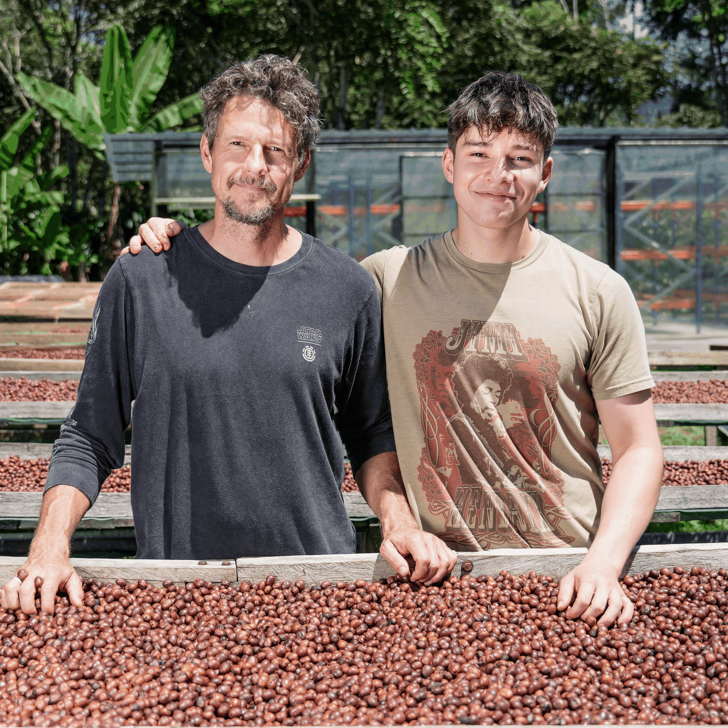 Father and son portrait with coffee cherries on drying bed