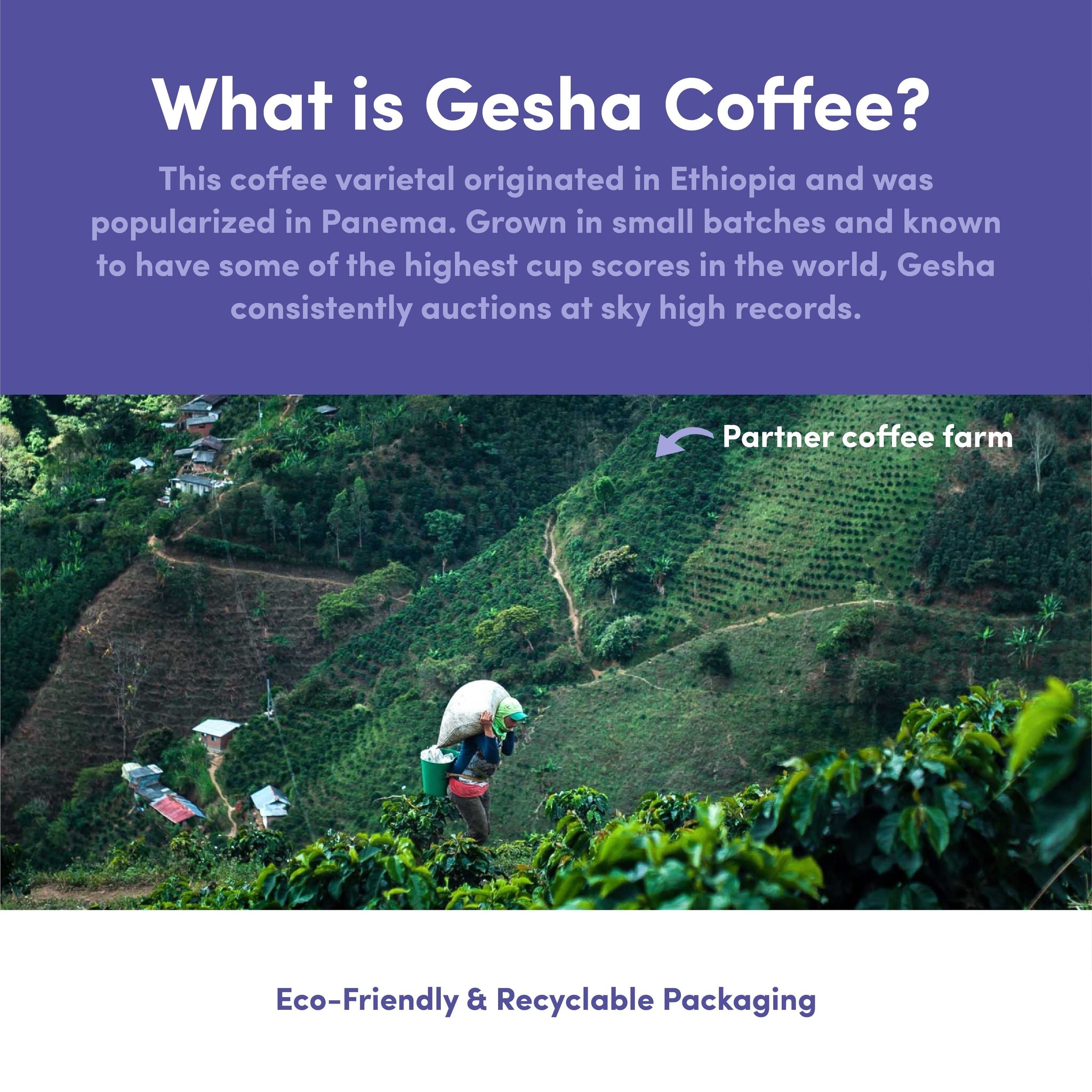 La Colombia Gesha Coffee