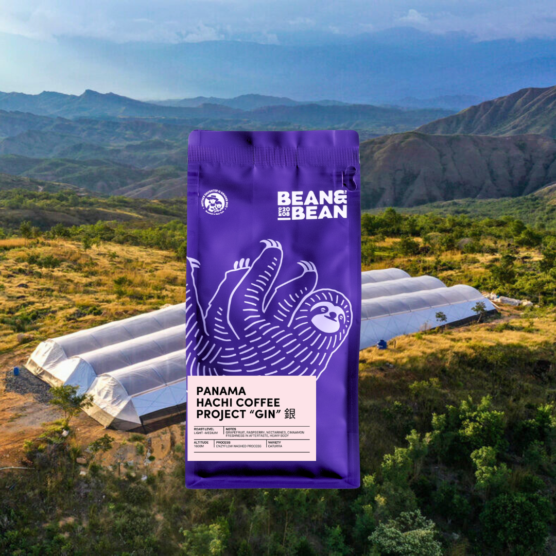 Panama Hachi Coffee Project “GIN” 銀