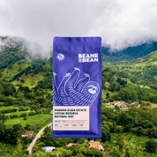A purple Bean & Bean coffee bag labeled Panama Elida Estate Catuai Reserva Natural ASD is displayed in front of a lush green mountain landscape with clouds overhead.
