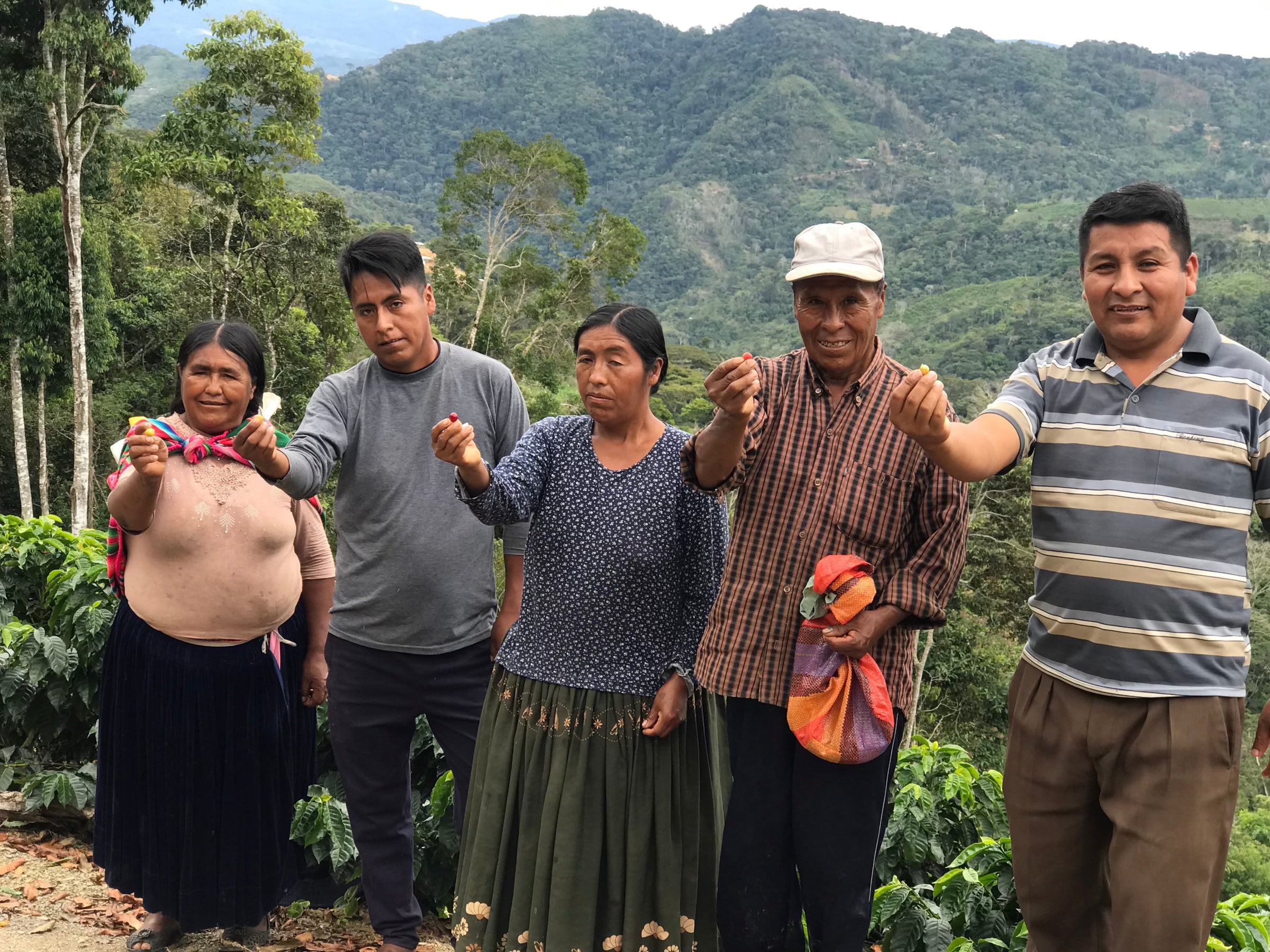 Lucia Mamani and her family holding up coffee cherries.