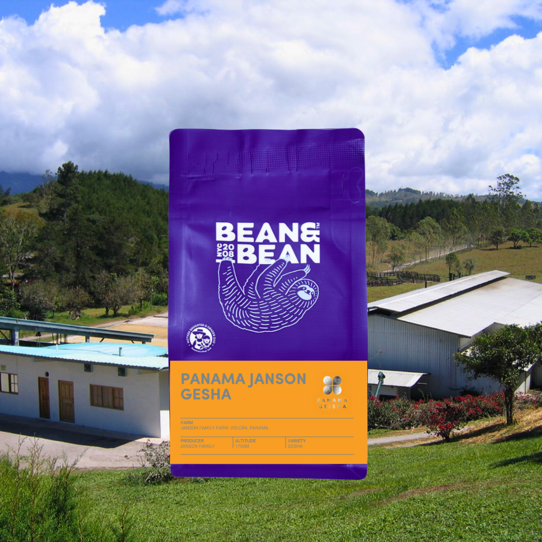 A purple Bean & Bean coffee bag with a sloth logo and an orange “Panama Janson Gesha” label, placed in front of a sunny coffee farm landscape with green hills, buildings, and large clouds in the sky.