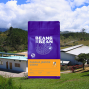A purple Bean & Bean coffee bag with a sloth logo and an orange “Panama Janson Gesha” label, placed in front of a sunny coffee farm landscape with green hills, buildings, and large clouds in the sky.