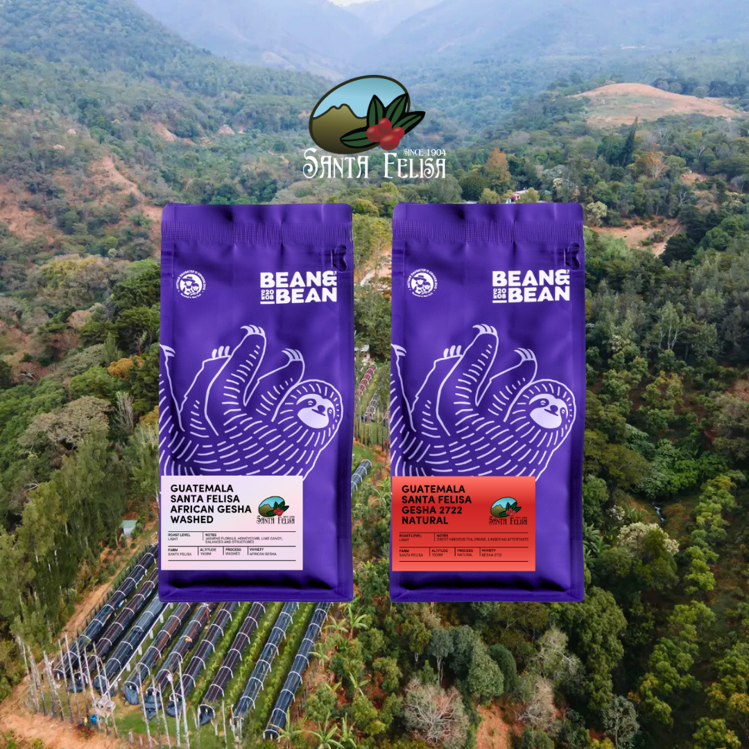 Two purple Bean & Bean coffee bags, one “African Gesha Washed” and one “Gesha 2722 Natural,” shown over an aerial view of the Santa Felisa farm with the Santa Felisa logo above.