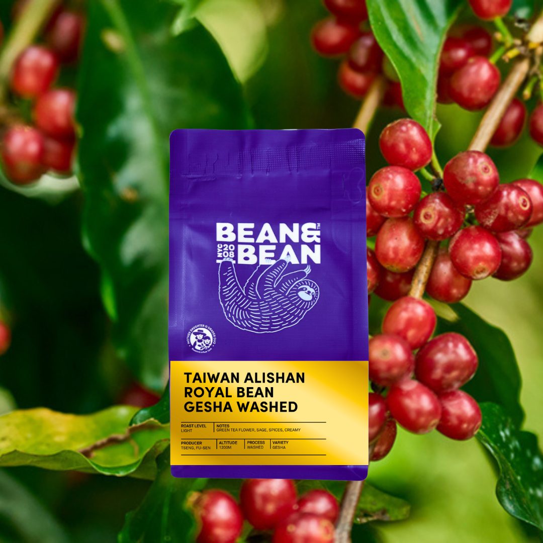 A purple Bean & Bean coffee bag labeled “Taiwan Alishan Royal Bean Gesha Washed” displayed in front of ripe red coffee cherries on the branch.