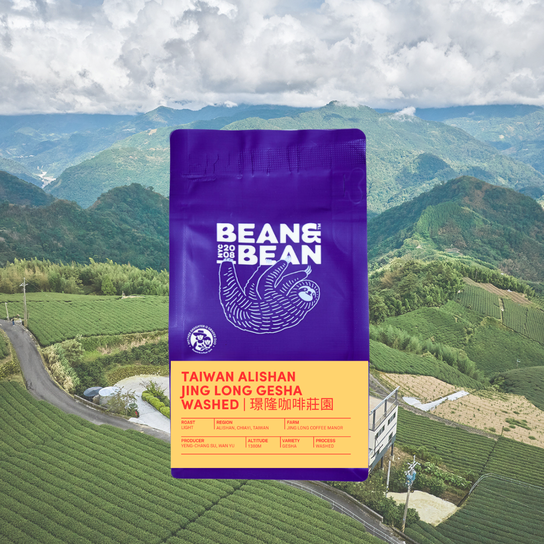 Taiwan Alishan Jing Long Gesha Washed