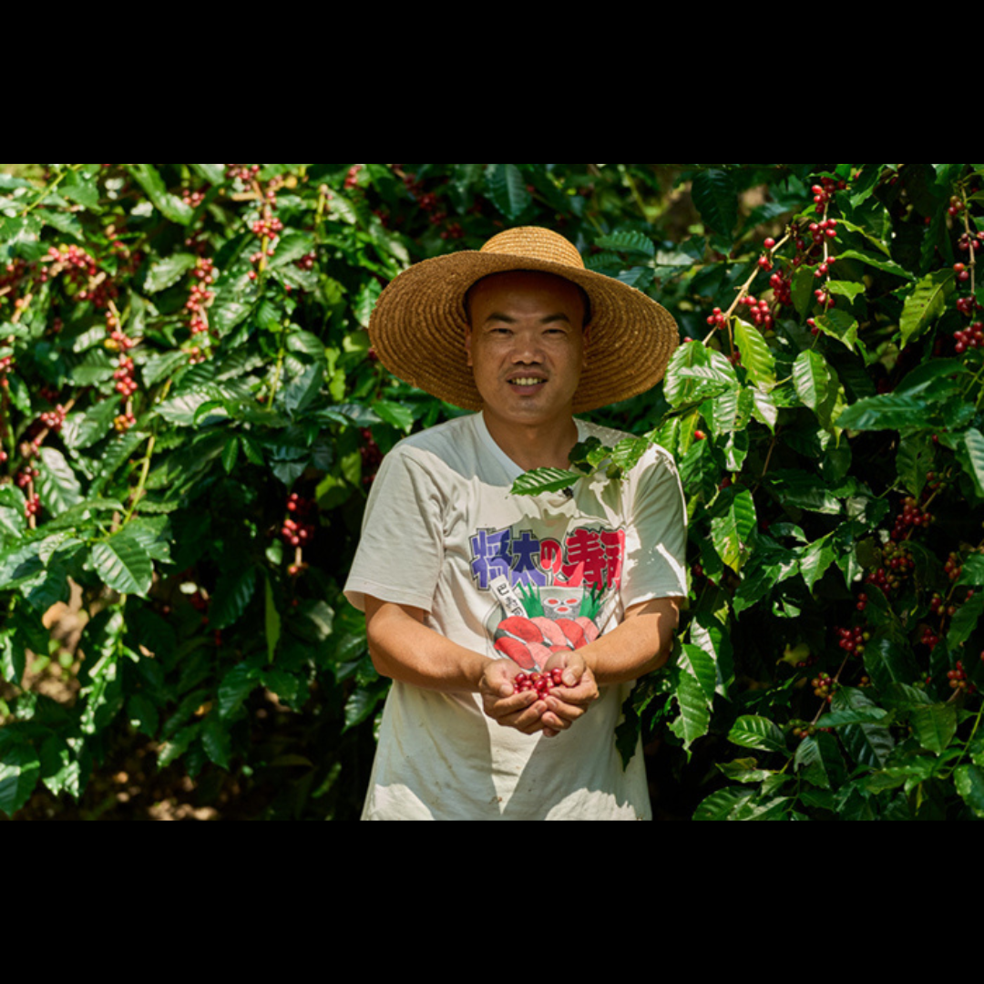 Tseng, Fu-Sen standing in front of coffee trees filled with red cherries, holding freshly picked coffee cherries in both hands.