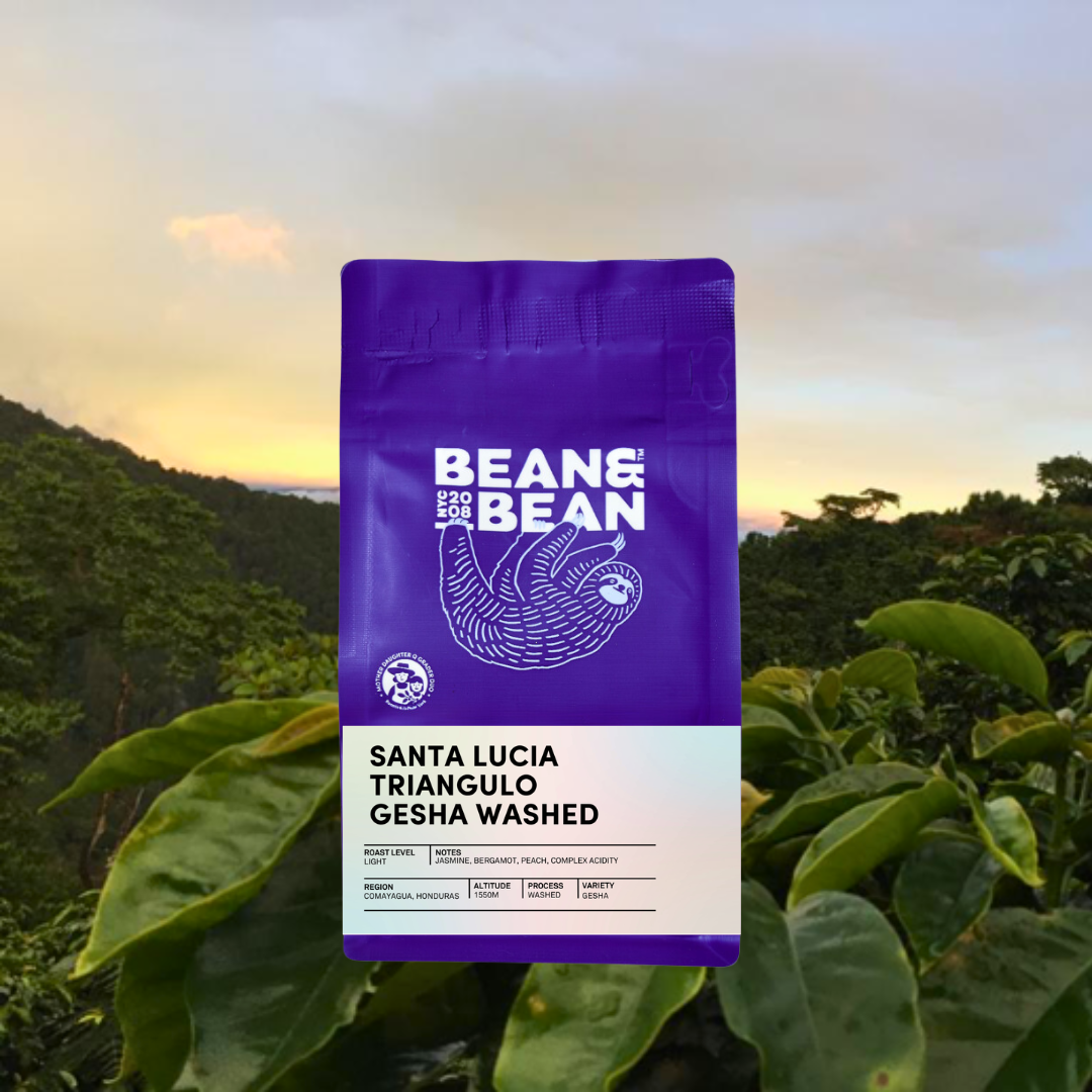 Purple "Bean & Bean Coffee Roasters" bag with a colored label that says Honduras Santa Lucia Triangulo Gesha Washed