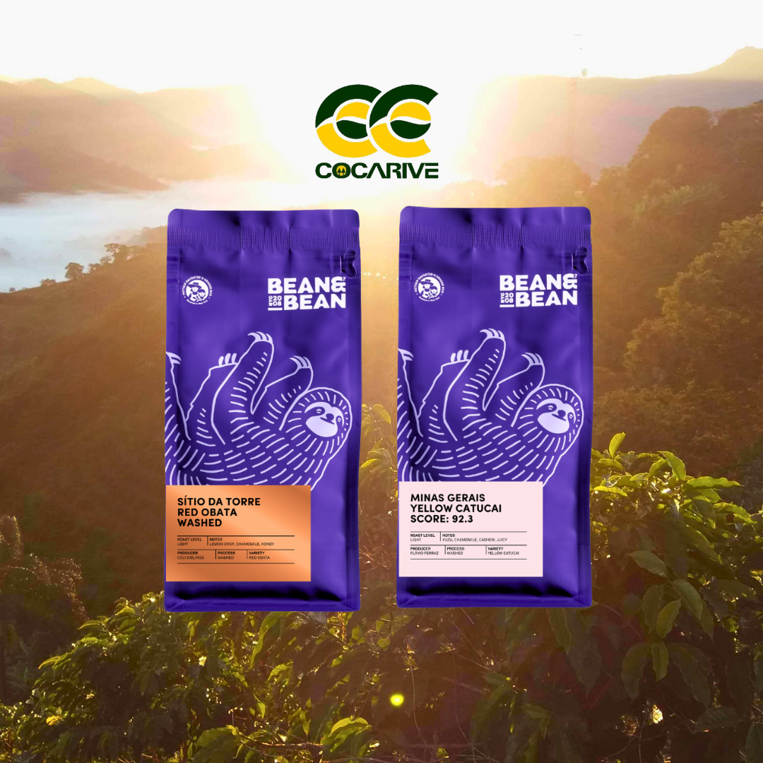 Sítio da Torre and Minas Gerais Yellow Catucai coffee bags with the COCARIVE logo over a sunrise.
