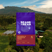 Purple Bean & Bean coffee bag labeled "Hacienda La Esmeralda Gesha" set against an aerial view of a lush green farm.