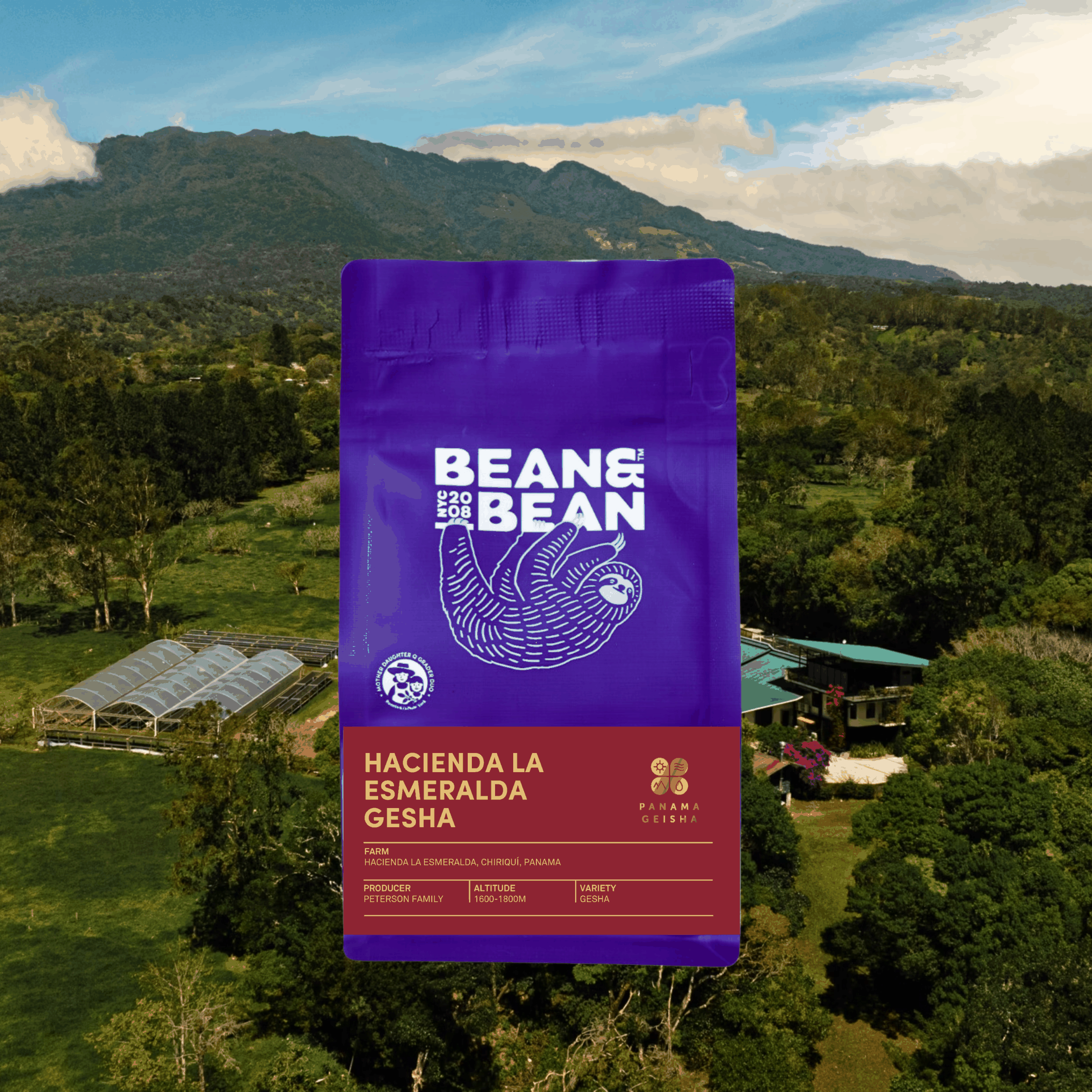 Purple Bean & Bean coffee bag labeled "Hacienda La Esmeralda Gesha" set against an aerial view of a lush green farm.