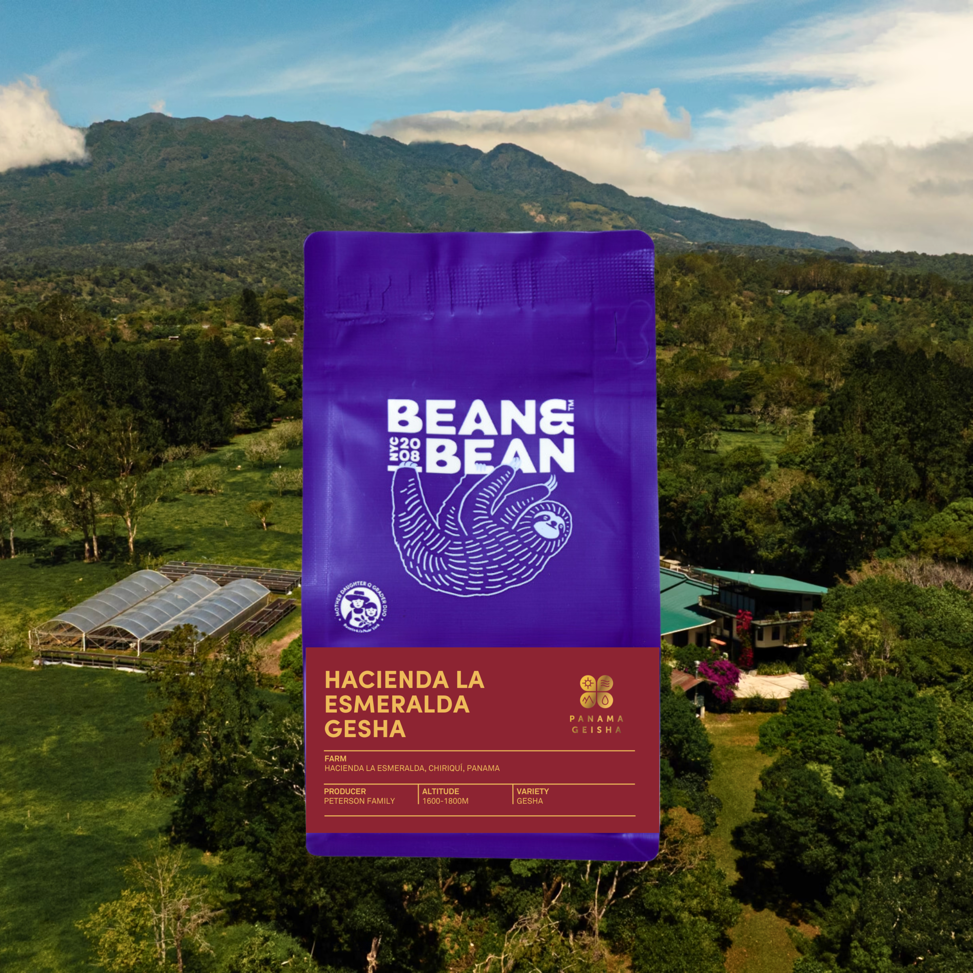 Purple Bean & Bean coffee bag labeled "Hacienda La Esmeralda Gesha" set against an aerial view of a lush green farm.
