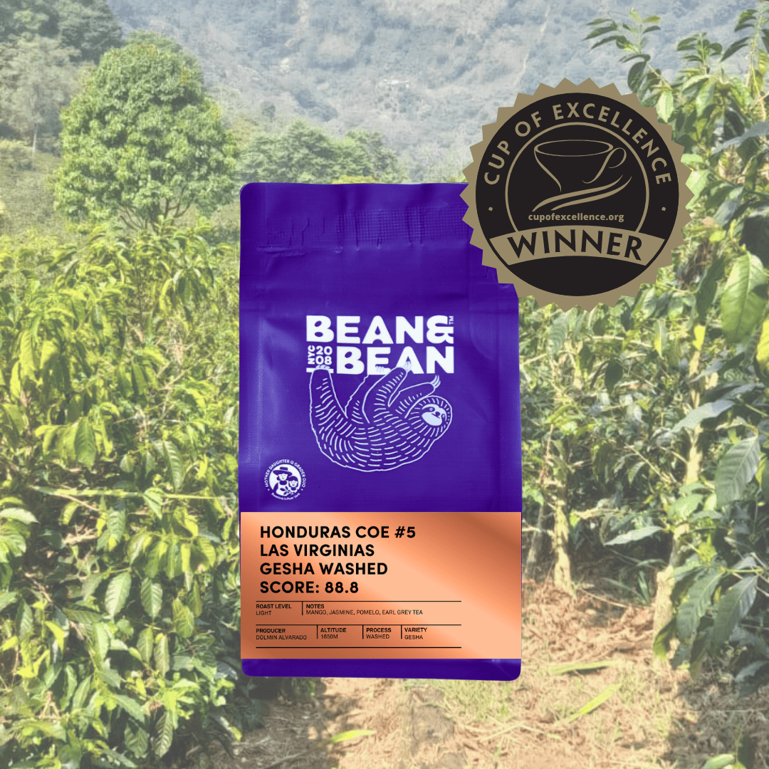 Honduras Cup Excellence #5 Gesha Washed [Score 88.88]