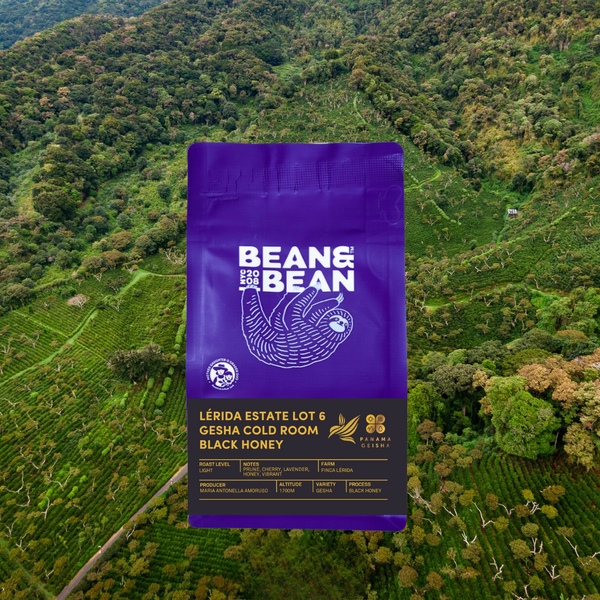 ayame lays DHV ダークハバナ ayame lays DHV ダークハバナ ayame ayame lays DHV ダークハバナ ayame lays DHV ダークハバナ ayame