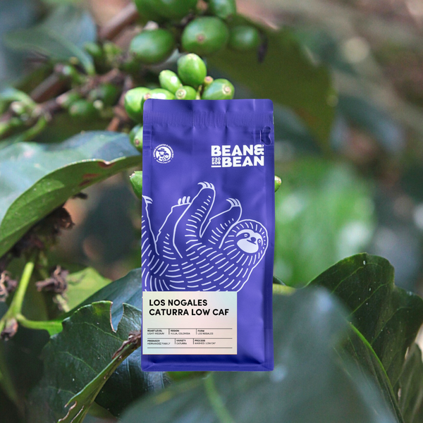 Los Nogales Caturra Low Caf - Bean & Bean Coffee – Bean & Bean