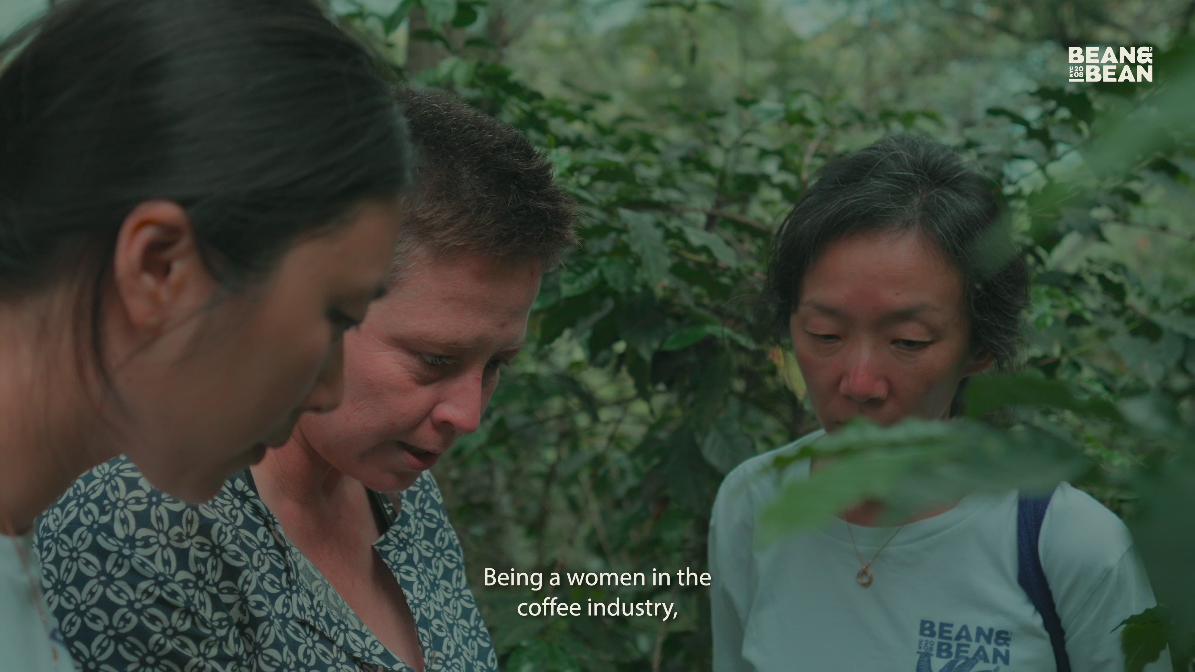Santa Felisa Gesha Washed Coffee – Bean & Bean Coffee Roasters