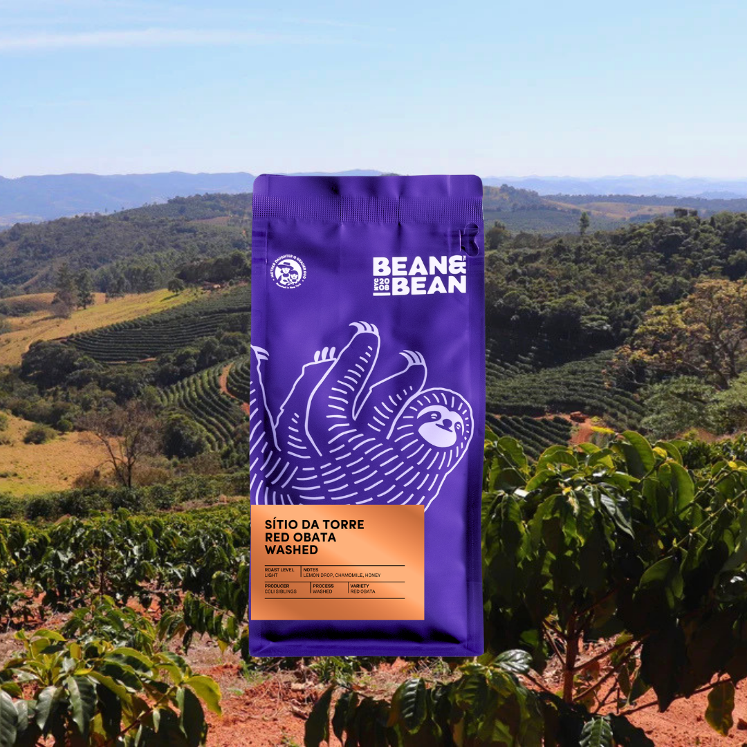 Purple Bean & Bean coffee bag standing in a Brazilian coffee farm landscape with rolling green hills. 