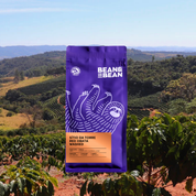 Purple Bean & Bean coffee bag standing in a Brazilian coffee farm landscape with rolling green hills. 