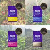 A four-panel image shows four Bean & Bean coffee bags from Cup of Excellence–winning lots, each placed in front of a different coffee farm landscape. Each panel includes a gold Cup of Excellence “Winner” badge near the bag.