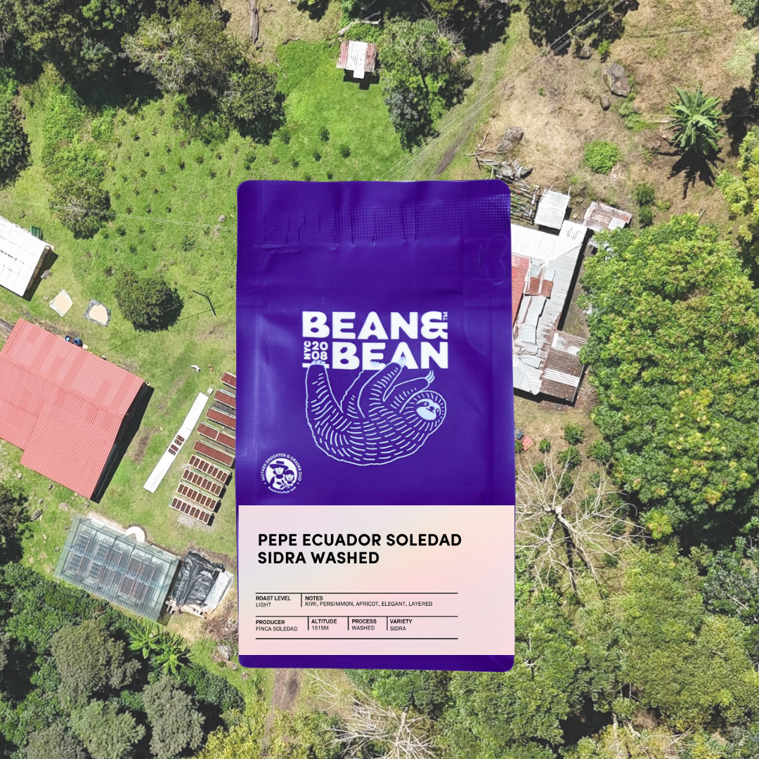A purple Bean & Bean coffee bag with a sloth illustration, labeled Ecuador Soledad Sidra Washed, shown against an aerial view of a farm.