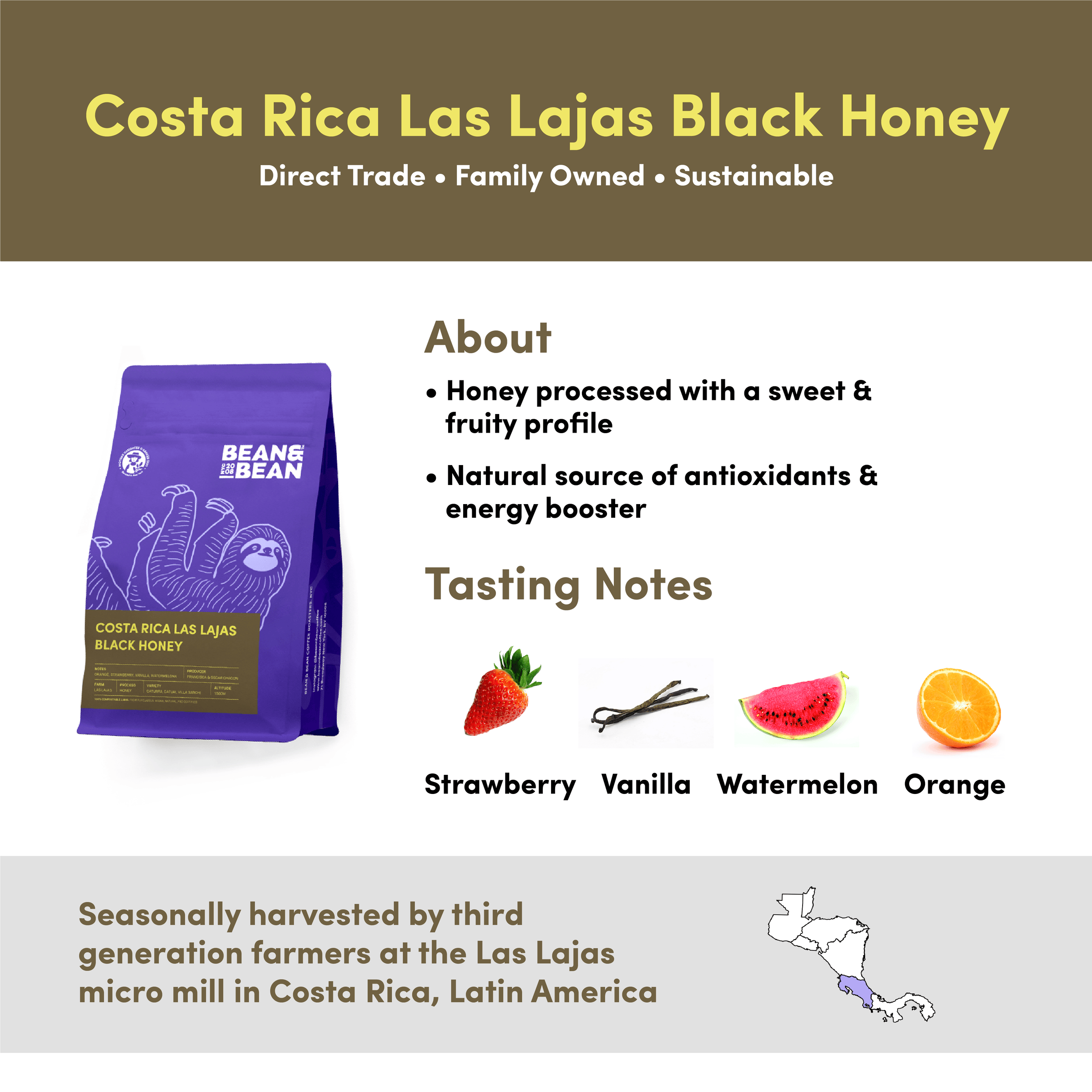Bean & Bean Costa Rica Las Lajas Black Honey coffee with tasting notes of Strawberry, Vanilla, Watermelon, and Orange. Described as honey processed with a sweet and fruity profile. Seasonally harvested by third-generation farmers at the Las Lajas micro mill in Costa Rica. Direct Trade, Family Owned, and Sustainable.