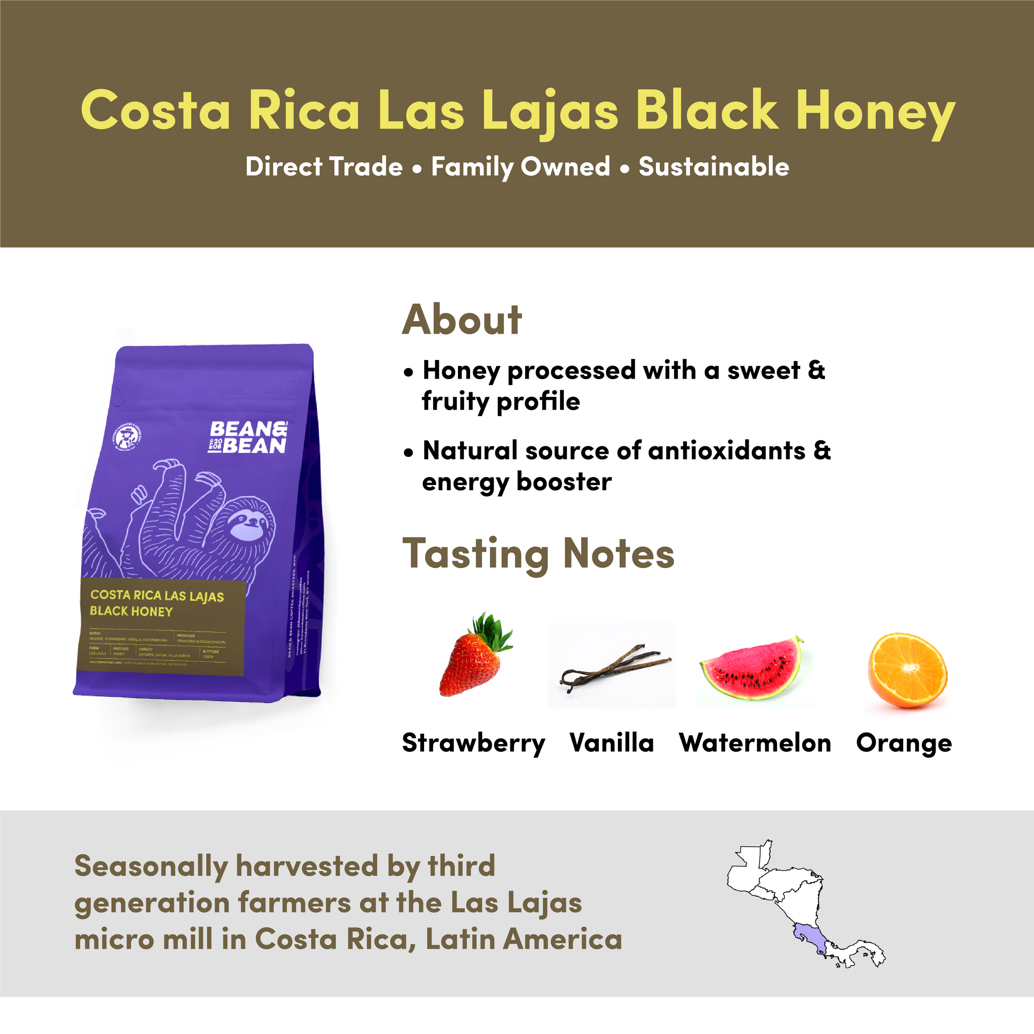 Costa Rica Las Lajas Black Honey