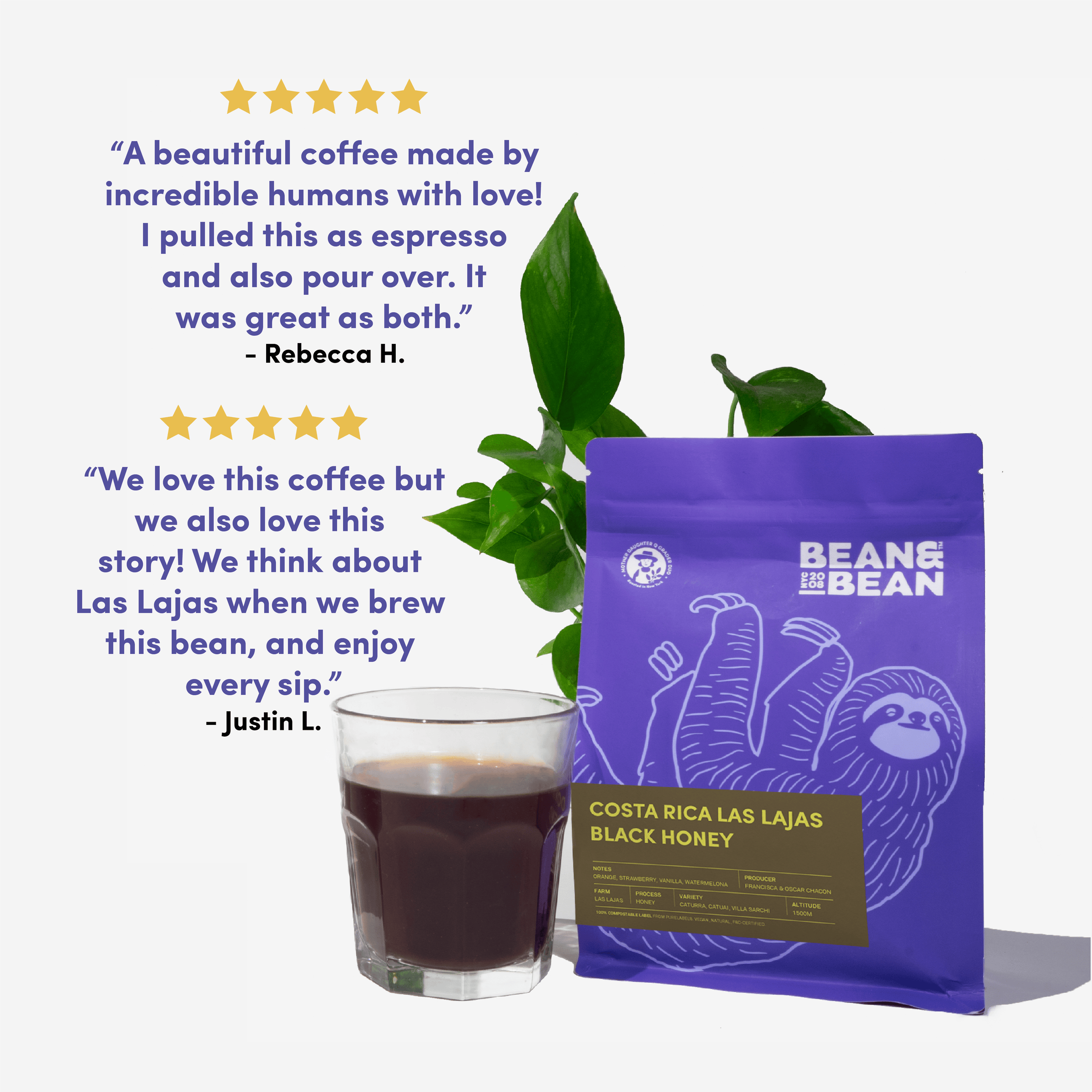 Bean & Bean Costa Rica Las Lajas Black Honey coffee bag with a glass of brewed coffee and a green plant. Surrounded by customer reviews praising its versatility as both espresso and pour over, and appreciation for the story behind the coffee.