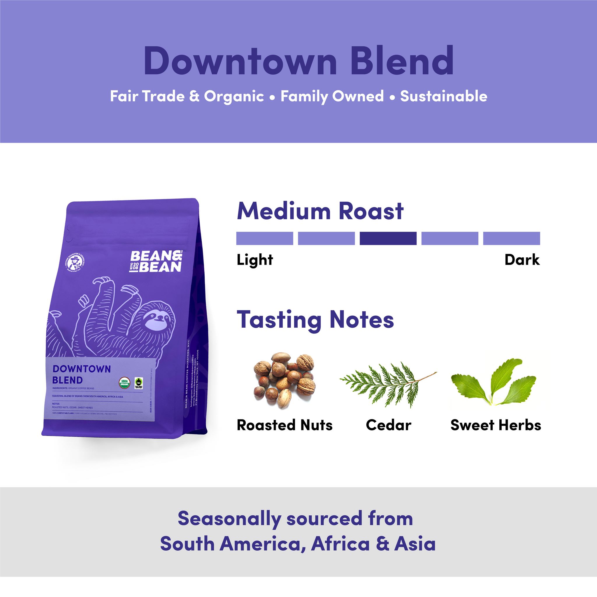 An infographic for Downtown Blend coffee, showing the packaging, roast level, tasting notes, and regions sourced from
