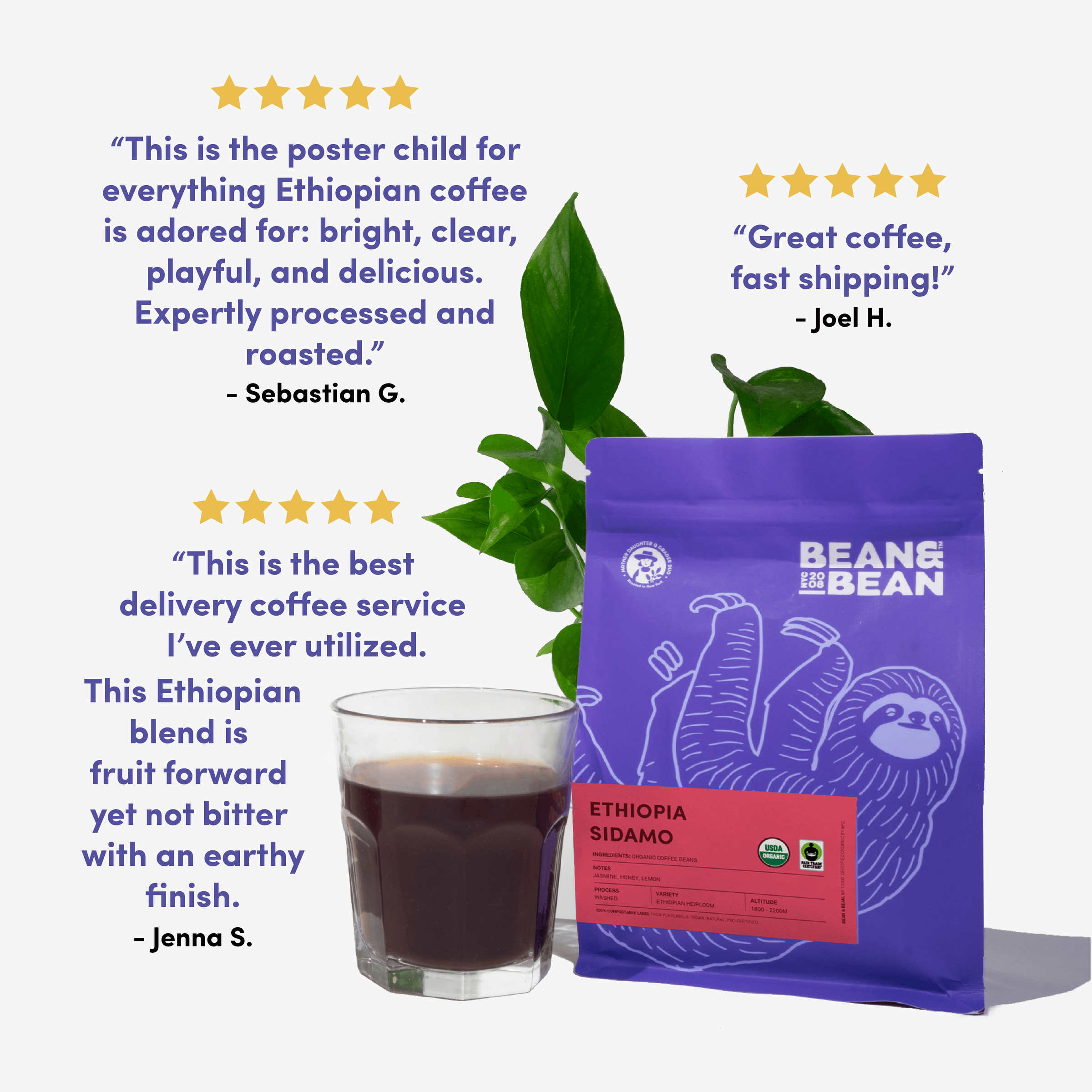Bean & Bean Ethiopia Sidamo coffee bag with a glass of brewed coffee and green plant. Surrounded by customer reviews praising its bright, clear, playful flavor, fast shipping, and fruit-forward profile with an earthy finish.