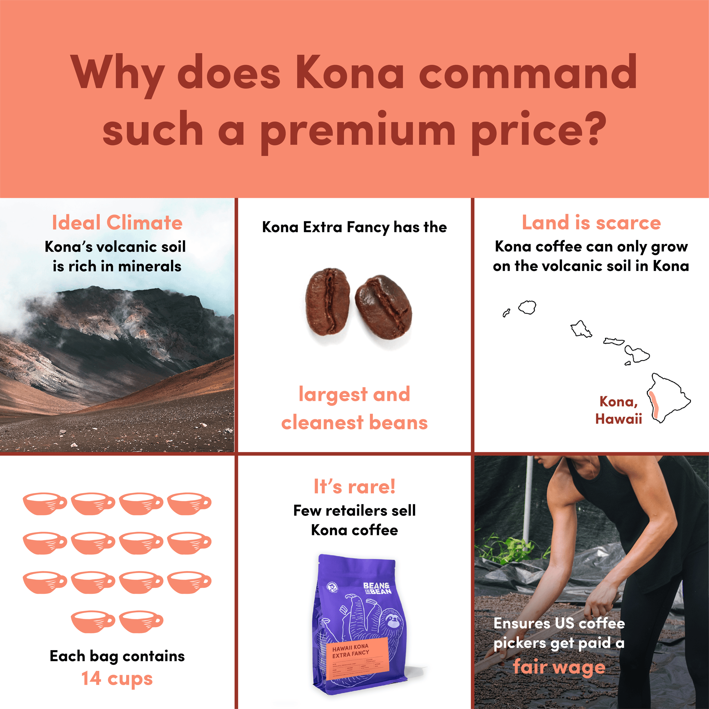 Graphic explaining why Kona coffee is expensive: ideal volcanic soil, large clean beans, limited growing region, each bag makes 14 cups, rarity, and fair wages for U.S. coffee pickers.